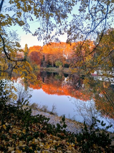 arbres aux couleurs d'automne au bord d'une rivière